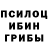 Галлюциногенные грибы Psilocybine cubensis Ali Nasimov